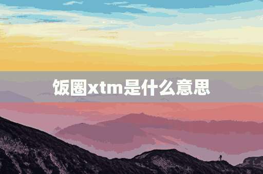 饭圈xtm是什么意思